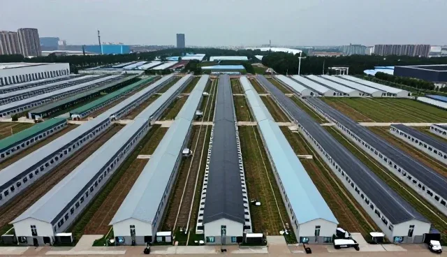 服务器选型中的性能优化关键点分析